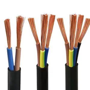High Quality VDE Standard H03VV-F 300/500V Flexible PVC Insulated Copper Conductor 2-Core Wire Home Appliance Electrical Power