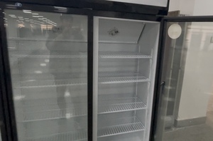 Factory Price Commercial Cooler Vertical Drink Fridge Display <strong>Upright</strong> <strong>Freezer</strong> Commercial Use Refrigeration Equipment Display - Product Image 2