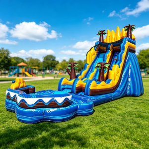Toboggan aquatique gonflable combiné avec <span class=keywords><strong>piscine</strong></span> pour fêtes de jardin, événements extérieurs et château gonflable commercial - Product Image 6