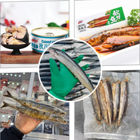 Huiyang Poisson Frais Entier Halal de Pêche en Mer, Poisson Congelé Saury du Pacifique (Cololabis Saira) pour l'Exportation vers l'Afrique