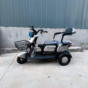 รถสามล้อบรรทุกไฟฟ้าแบบประหยัด 3 ล้อ กำลังมอเตอร์ 500W/600W/750W พร้อมระบบควบคุมอัจฉริยะ แบตเตอรี่ลิเธียม/สำหรับการจราจร 48V ความเร็วเดียว รุ่นใหม่ - Product Image 1