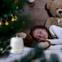 Mini refroidisseur d'air LED de bureau Portable avec diffuseur d'huile d'aromathérapie USB 100ML humidificateur de parfum à l'huile essentielle pure