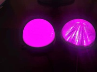 Source de lumière LED à points, lumière étoilée rouge, couleur unique, ronde, 100 mm (10 cm), contrôle interne, toujours allumée, pour aménagement paysager