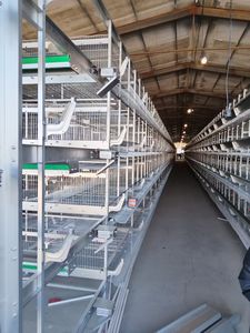 Équipement d'élevage de volailles Cage de ponte de <span class=keywords><strong>poulet</strong></span> entièrement automatique de type H - Product Image 3