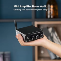 Amplificateur Mini Classe D en Métal 2.0 Canaux avec Réponse en Fréquence 20Hz-20KHz et SNR 98dB, 200W, 110-240V pour Audio Domestique