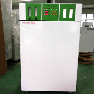 DW-WJ-2 CO2-Inkubator Kohlendioxid-Zell-Inkubator für die moderne Medizin Biochemie - Product Image 5