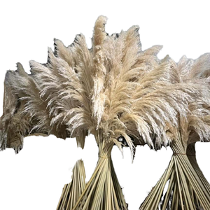 Centro de Mesa de Hierba de Pampas Natural Seca Premium, Ecológico, Decoración de Acción de Gracias, Elegante y Lujoso - Product Image 1
