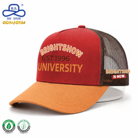 Gorra Trucker Personalizada de 5 Paneles con Estampado Puff, Estilo Hip Hop, Malla Transpirable, Fábrica BSCI para Unisex, Rendimiento Empresarial