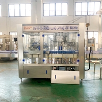 Ligne d'embouteillage automatique de vodka et de liqueurs - Machine de remplissage, de bouchage et d'étiquetage 2500BPH pour whisky et vin