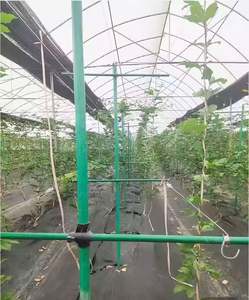 Estacas de árbol de fibra de vidrio económicas de pultrusión resistente a postes de fibra de vidrio para agricultura para soporte de árboles frutales - Product Image 3