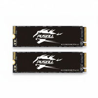 Harga Pabrik PUSKILL SSD Disk Internal PCIe 3.0 M.2 NVMe Kecepatan Tinggi 120GB 128GB 240GB 256GB 480GB 512GB 1TB 2TB M2 Solid untuk Laptop