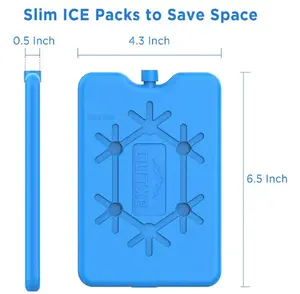 Plastic Reusable Gel Freezer Ice Cream Mini Large Ice Block Box Cooler Bag Lunch Box For Ice Brick Pack