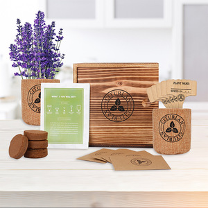 Kit de cultivo de jardín, juego de bonsái, crecimiento creativo de plantas y plantación, Kit de plantación biodegradable, <span class=keywords><strong>maceta</strong></span> - Product Image 2