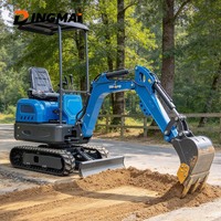 Mini-pelle de 0,6 tonne avec moteur à essence Loncin et double pompe à engrenages pour projets de paysagisme, d'aménagement paysager et de végétalisation en serres, vergers et sur pentes
