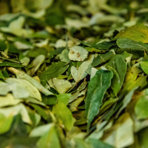 Feuilles de laurier séchées indiennes en vrac durables Tejpatta Biologique Qualité en gros pour l'exportation internationale d'épices - Product Image 1