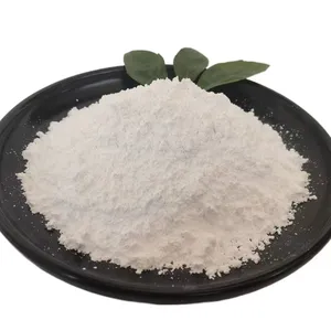 Carbonato precipitado do cálcio para o papel CAS NENHUM 471-34-1 que faz o carbonato do cálcio