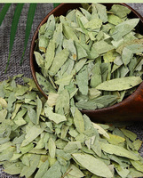 Harga Pabrik Fan Xie Ye Daun Senna Kering Herbal Cina Folium Sennae Daun Teh