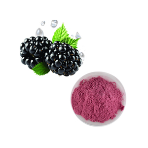 hongda factory supply black plum extract blackberry extract