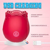 Bestseller 10-Gang Klitoris-Saugvibrator für Frauen Brustwarzen-Stimulator Silikon-Rose Sexspielzeug Weiblicher Masturbator Erotikspielzeug