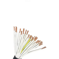 Cable de Soldadura AWG 1/0 2/0 3/0 4/0 H01N2-E, Conductor de Cobre Flexible con Aislamiento de PVC de 10 mm para Uso en Construcción