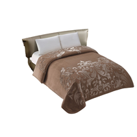 Großhandel Polyester Super Soft Decke für Luxus Raschel Decke für den Winter