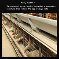 Cages à poulets empilables à 4 niveaux entièrement automatiques personnalisables, durables, galvanisées à chaud, équipement d'élevage avicole