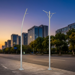 High Quality LECUSO 6M-9M Hot Dip Galvanized Steel LED Street Light <b>Pole</b> With 10-Year Warranty and 20+ Year Lifespan High Qualit - Product Image 1