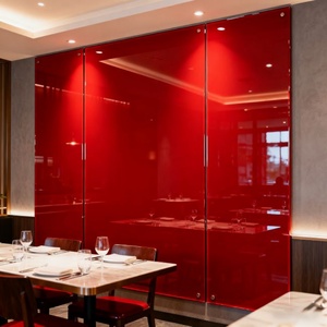Sinoy Sleek Luster Easy to Assemble and Maintain Water-resistant Back Painted Glass Be Used in Sliding Doors Wall Cladding Gym - Product Image 1
