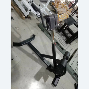 Chaise romaine <span class=keywords><strong>pour</strong></span> exercices <span class=keywords><strong>d</strong></span>'extension dorsale inversée, bancs <span class=keywords><strong>d</strong></span>'extension dorsale à 45 degrés - Product Image 3