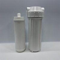 Big Flow 10 "0.01 mikron pvpes DF Cartridge Filter UF serat berongga cocok untuk rumah Filter RO Jumbo bening 10 inci 20 inci