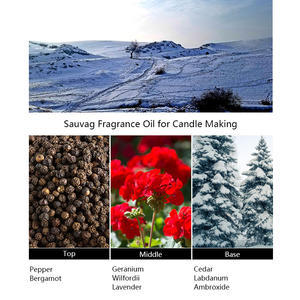 Parfum de bougie en gros UNIQUE AROMA D Sauvag parfums de marque célèbre huile de parfum de bougie pour la fabrication de bougies - Product Image 2