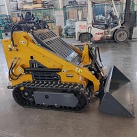 Mini binario caricatore diesel caricatore pista Skid Steer con moncone smerigliatrice foresta falciatrice