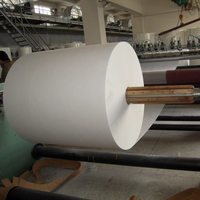 Tisu Fiberglass Tahan Api yang Diletakkan Basah