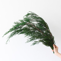 Grosir dekorasi Natal bunga yang diawetkan daun koniferus bunga kering pinus dan Dekorasi Flor daun cypress