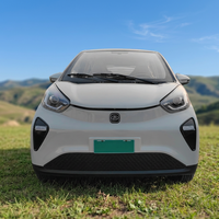 Nouveau Design SUV Électrique 2025 de Haute Qualité, Véhicule Électrique Intelligent à Propulsion Arrière, Autonomie de 100 km, Sièges Manuels, Sièges Luminiscents
