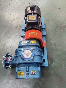 Soplador de aire de alto rendimiento con motor de tres lóbulos, bomba de vacío AC para acuicultura, accionamiento directo - Product Image 3
