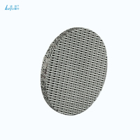 Diskus Filter Cairan Kawat Anyaman Sinter Baja Tahan Karat 304/316, 0,1 Mikron, Efisiensi 95%, Diameter Lubang Sesuai Pesanan, OEM