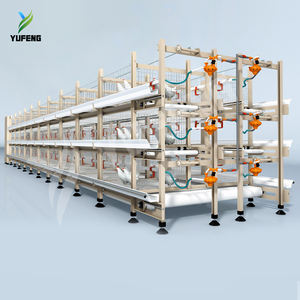 Sistema Automático para Granjas Avícolas, Jaulas para Pollos <span class=keywords><strong>de</strong></span> Engorde Tipo H con Batería Automática - Product Image 5