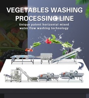 Hele Productielijn Van Fruit En Groenten Reiniging Snijden Gemengde Groenten Salade Making Machine