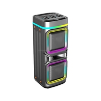 Enceinte de fête haute puissance CSN-8712 avec deux woofers, lumières LED RGB, enceinte karaoké sans fil pour la maison et l'extérieur
