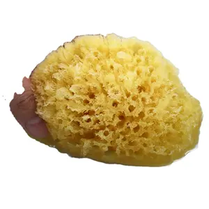 Bacteria Resistant Beehive Honeycomb Exfoliating Foam Sponge Custom Natural Bath Organic natural sponge