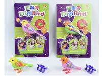 À piles en plastique drôle enregistrement sonore Digi oiseau musique Animal électrique enfants oiseau jouet