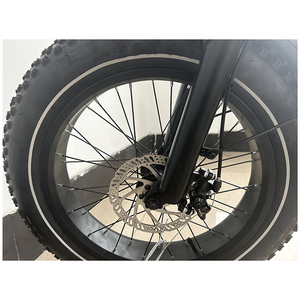Vélo à pneus larges de 20 pouces, design personnalisé, moteur à disque mécanique 250W/48V/12Ah - Product Image 3
