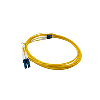 LC zu LC 2.0 Singlemode Dual-Core Jumper 3M Duplex Glasfaser-Patchkabel 1m 3m 5m 10m Glasfaser-Jumper für Rechenzentrum SFP-Modul