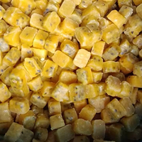 IQF Diepvries Passievruchtenpuree Bulk IQF Passievruchtenblokjes