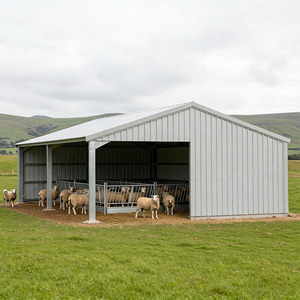 2026 In Promozione: Fienile Prefabbricato in Struttura d'Acciaio Leggera per Allevamento di Polli e Bestiame, Design Moderno, Casa Agricola con Telaio in Acciaio - Product Image 1