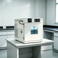 Mini-chambre de laboratoire de table programmable à température constante (chaud/froid)