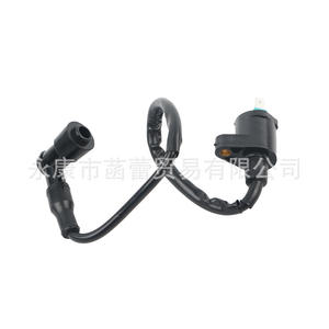 Transformateur d'allumage haute tension compatible avec les véhicules tout-terrain ATV et les motos, système d'allumage électrique pour moto GY6125/70 - Product Image 1