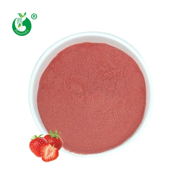 Polvere di succo di fragola disidratata biologica prezzo all'ingrosso