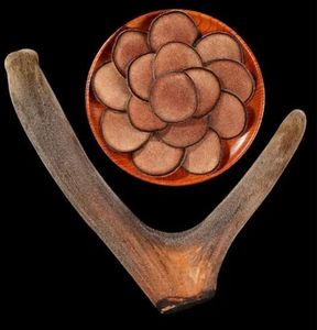 Оптовая Продажа с фабрики, свежие оленьи рога, высокое качество, рога Красного оленя, натуральные китайские травы, сушеные оленьи рога - Product Image 3